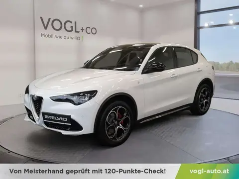 Annonce ALFA ROMEO STELVIO Diesel 2024 d'occasion 