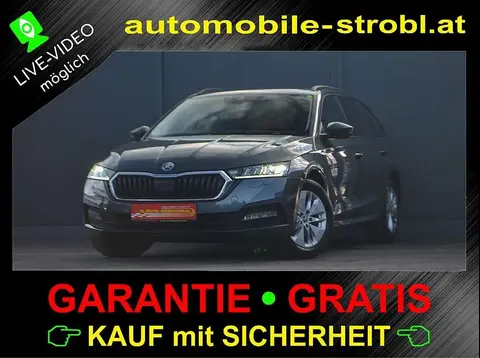 Used SKODA OCTAVIA Diesel 2020 Ad 