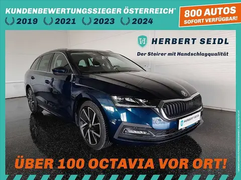 Annonce SKODA OCTAVIA Diesel 2020 d'occasion 