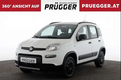 Used FIAT PANDA Petrol 2018 Ad 