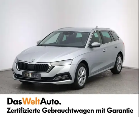 Annonce SKODA OCTAVIA Diesel 2024 d'occasion 