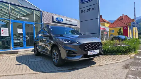 Used FORD KUGA Hybrid 2023 Ad 