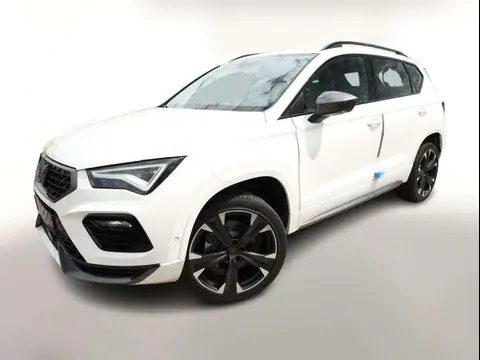 Annonce CUPRA ATECA Essence 2024 d'occasion 