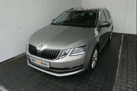 Annonce SKODA OCTAVIA Diesel 2019 d'occasion 