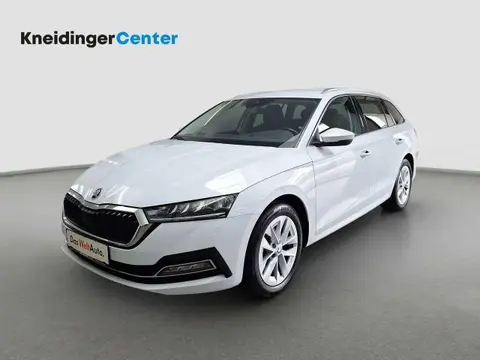 Annonce SKODA OCTAVIA Diesel 2022 d'occasion 