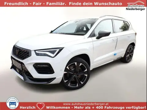 Used CUPRA ATECA Petrol 2024 Ad 