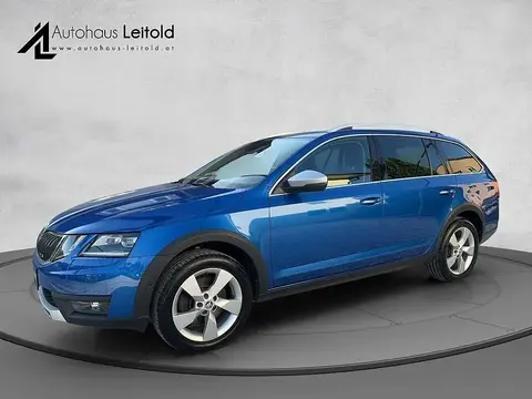 Annonce SKODA OCTAVIA Diesel 2020 d'occasion 