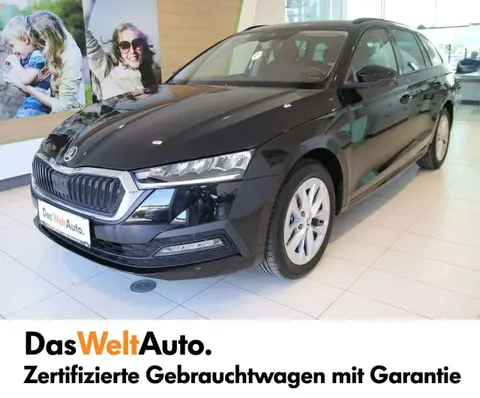 Used SKODA OCTAVIA Diesel 2023 Ad 