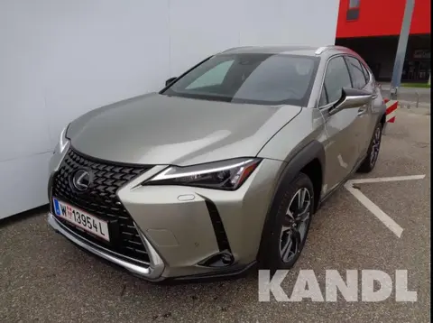 Annonce LEXUS UX Hybride 2023 d'occasion 