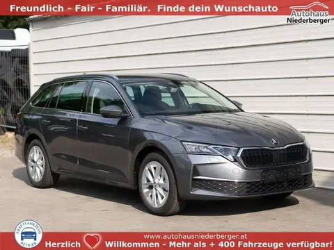 Used SKODA OCTAVIA Diesel 2024 Ad 