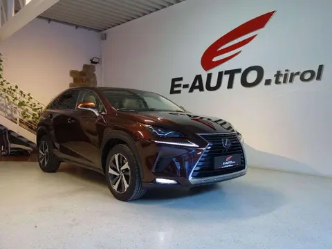 Used LEXUS NX Hybrid 2018 Ad 