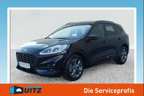 Annonce FORD KUGA Diesel 2023 d'occasion 