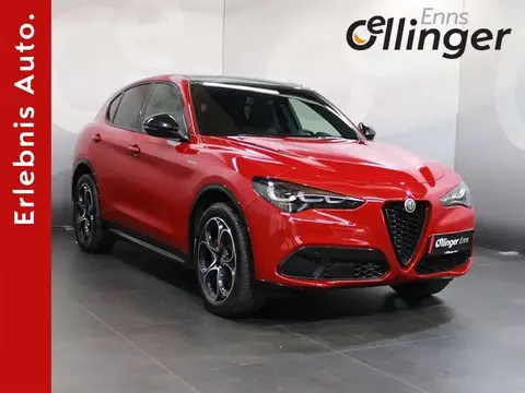 Used ALFA ROMEO STELVIO Diesel 2024 Ad 