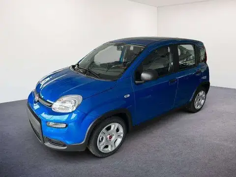 Used FIAT PANDA Petrol 2024 Ad 