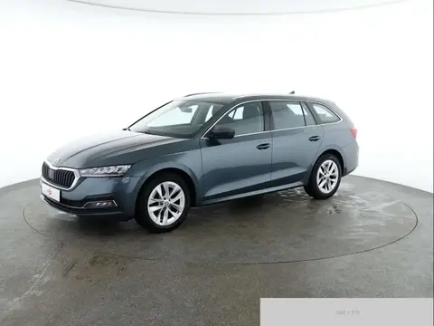 Used SKODA OCTAVIA Diesel 2021 Ad 