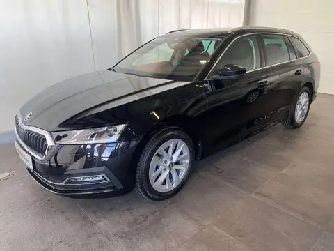 Annonce SKODA OCTAVIA Diesel 2024 d'occasion 