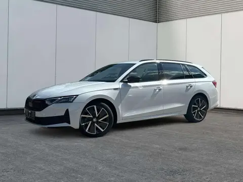 Annonce SKODA OCTAVIA Essence 2024 d'occasion 