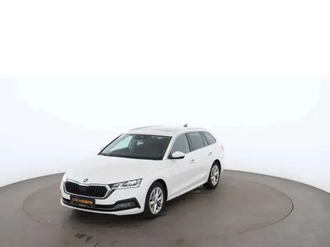 Annonce SKODA OCTAVIA Diesel 2020 d'occasion 