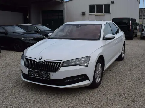 Used SKODA SUPERB Diesel 2022 Ad 