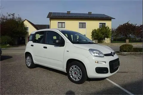 Used FIAT PANDA Petrol 2021 Ad 