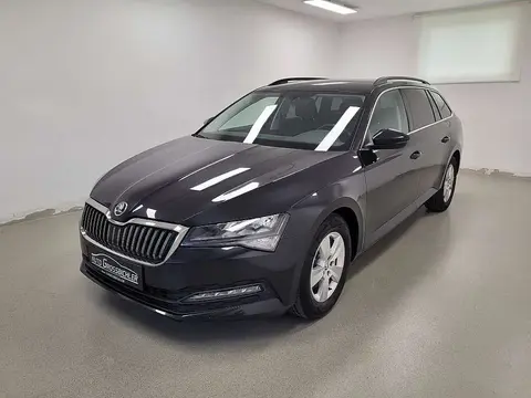 Annonce SKODA SUPERB Diesel 2021 d'occasion 