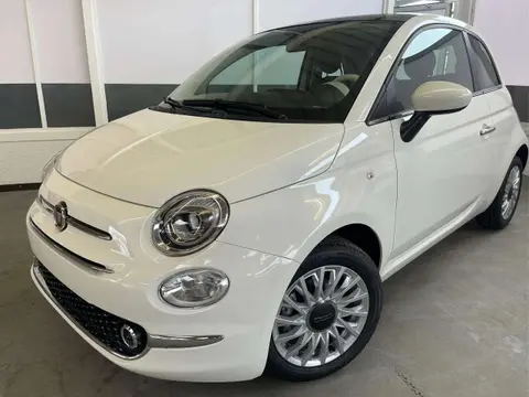 Used FIAT 500 Petrol 2024 Ad 