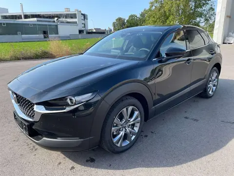 Annonce MAZDA CX-30 Essence 2024 d'occasion 