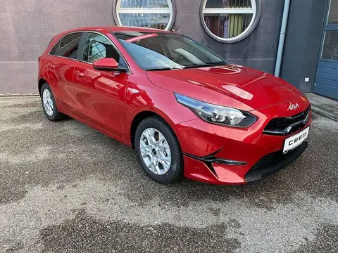 Used KIA CEED Petrol 2023 Ad 