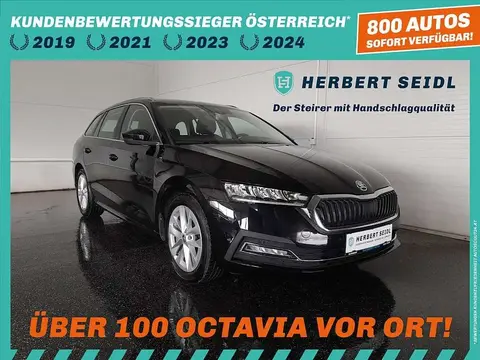 Annonce SKODA OCTAVIA Diesel 2020 d'occasion 