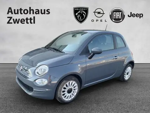 Used FIAT 500 Petrol 2022 Ad 