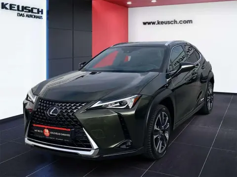 Used LEXUS UX Hybrid 2022 Ad 