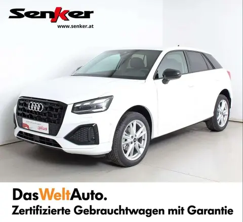 Annonce AUDI Q2 Essence 2024 d'occasion 