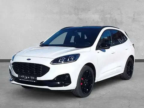 Annonce FORD KUGA Diesel 2023 d'occasion 