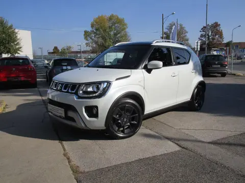 Annonce SUZUKI IGNIS Essence 2021 d'occasion 