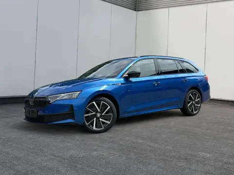 Annonce SKODA OCTAVIA Essence 2024 d'occasion 