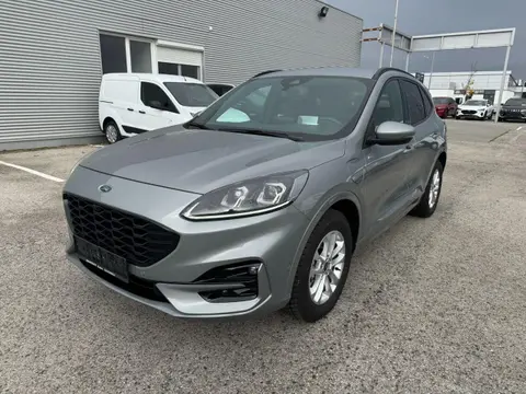 Annonce FORD KUGA Hybride 2022 d'occasion 