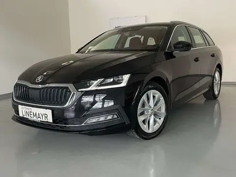 Annonce SKODA OCTAVIA Diesel 2020 d'occasion 