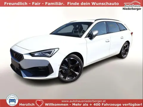 Used CUPRA LEON Petrol 2024 Ad 