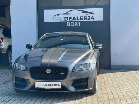 Used JAGUAR XF Diesel 2016 Ad 