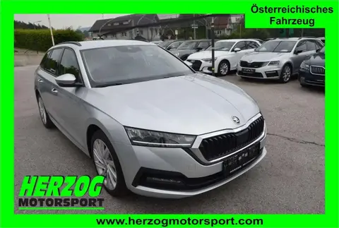 Used SKODA OCTAVIA Diesel 2024 Ad 