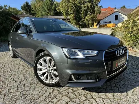 Annonce AUDI A4 Diesel 2019 d'occasion 