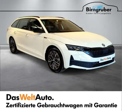 Annonce SKODA OCTAVIA Diesel 2024 d'occasion 