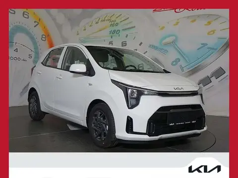 Used KIA PICANTO Petrol 2024 Ad 