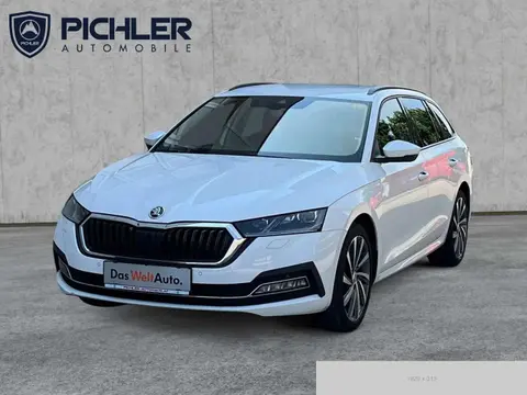 Annonce SKODA OCTAVIA Diesel 2020 d'occasion 