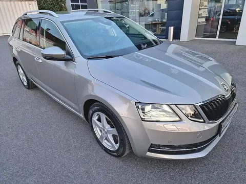 Annonce SKODA OCTAVIA Diesel 2019 d'occasion 