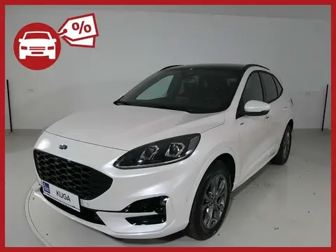 Annonce FORD KUGA Diesel 2023 d'occasion 