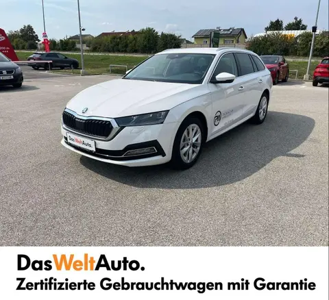 Annonce SKODA OCTAVIA Diesel 2024 d'occasion 