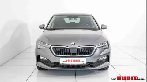 Annonce SKODA SCALA Essence 2023 d'occasion 