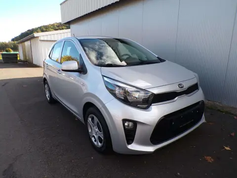 Used KIA PICANTO Petrol 2019 Ad 