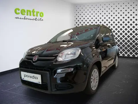 Annonce FIAT PANDA Essence 2024 d'occasion 